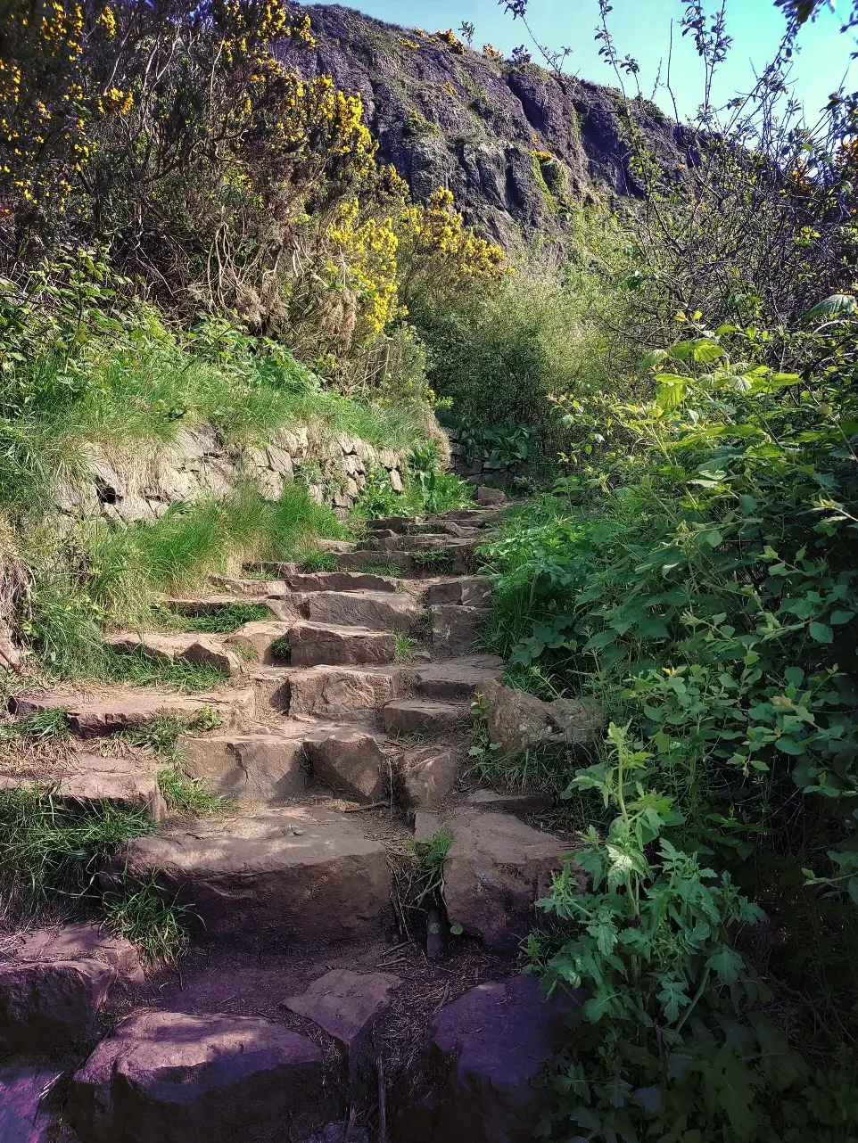 Stone steps leading up a mountain path.